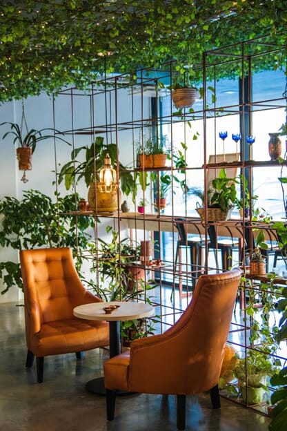 An image of a table with two chairs surrounded by greenery and nature design.